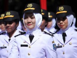 Seleksi Dilaksanakan Secara Transparan, Tersedia 7.080 Formasi di 30 Sekolah Kedinasan