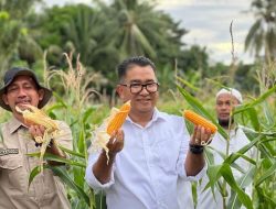 Pj Gubernur Sulbar Ajak Sekolah Dukung Merdeka Pangan