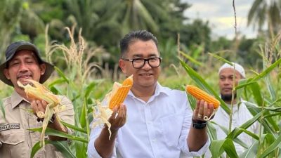 Pj Gubernur Sulbar Ajak Sekolah Dukung Merdeka Pangan