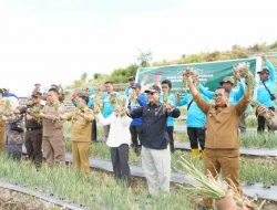 Dukung Pangan IKN, Wamentan Akan Terus Kembangkan Food Estate di Majene