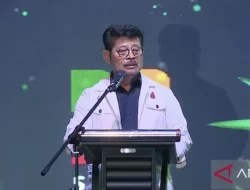 Resiliensi Perkebunan jadi cara Kementan Genjot Peremajaan Sawit Rakyat