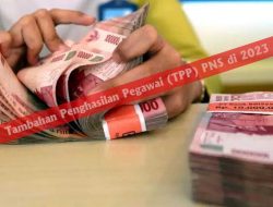 Delapan Bulan Tak Masuk Rekening, TPP ASN Majene Raib ‘Ditelan Bumi’