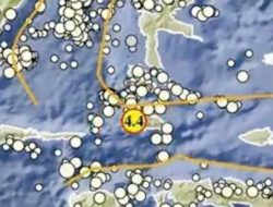 Gempa Magnitudo 4.4 Guncang Halmahera Selatan