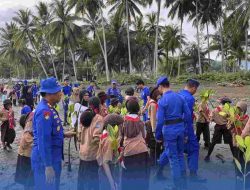 Babana Pantai Bone-bone Ditanami Ratusan Mangrove 