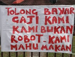 Gaji Tak Dibayarkan, Tenaga Kontrak Disdukcapil Mamasa Mogok Kerja