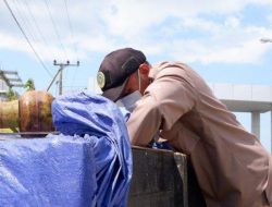 Dua Ton Daging Anjing Hendak Dikirim ke Manado Ditahan Karantina Sulbar