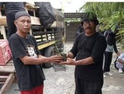 Dinas TPHP Sulbar Distribusikan 865 Ribu Bibit Cabai