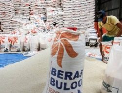 Stok Beras di Mamuju Aman Lima Bulan ke Depan