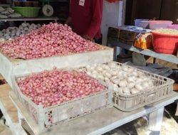 Bawang Merah di Topoyo Tembus Rp70 Ribu/Kg, Warga Menjerit
