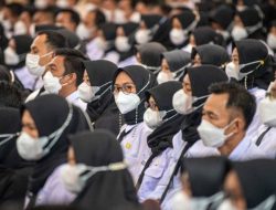 Tenaga Honorer Gagal Seleksi di Sulbar Berpeluang Diangkat Jadi PPPK Paruh Waktu
